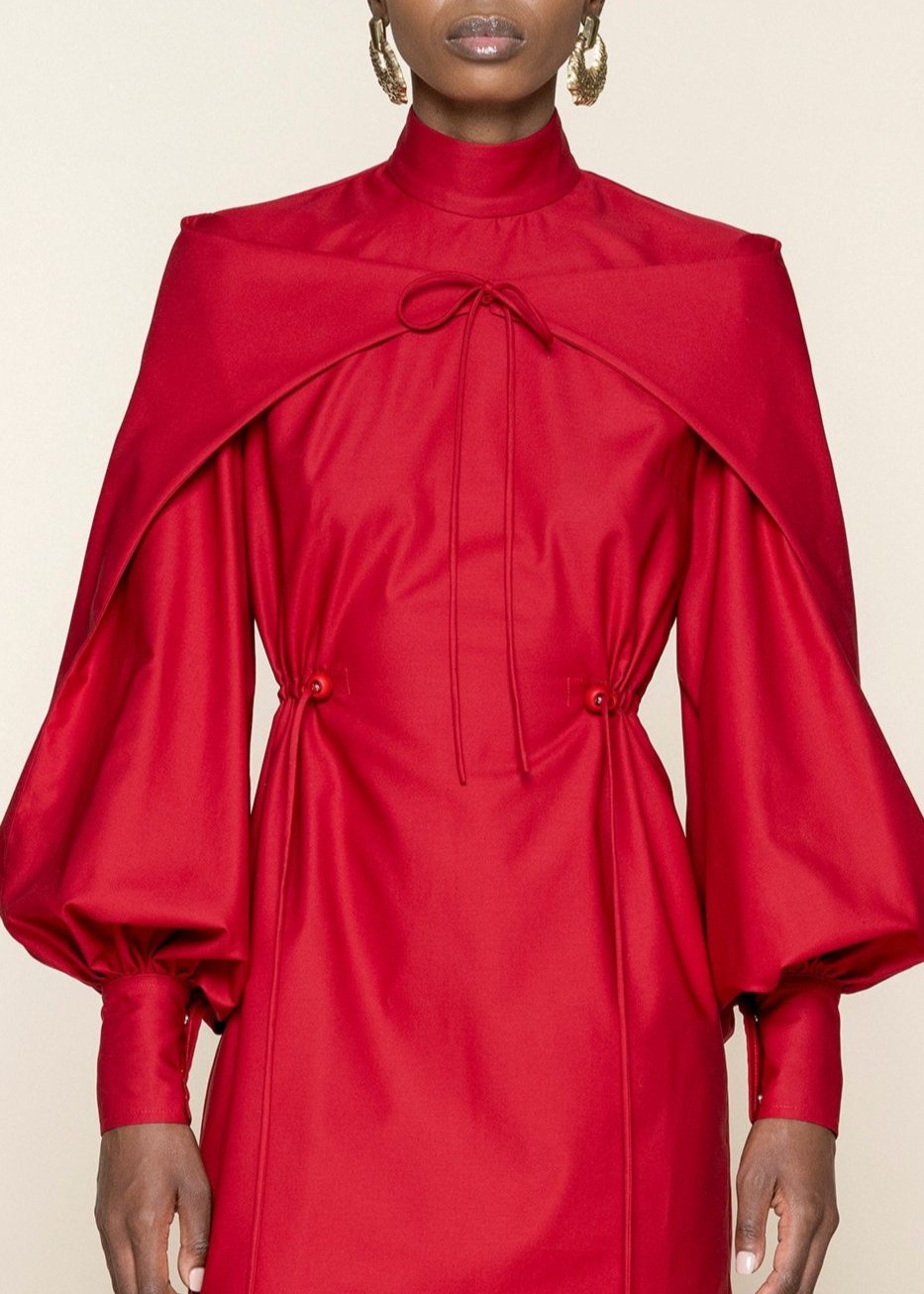 Bishop Sleeve Dress
